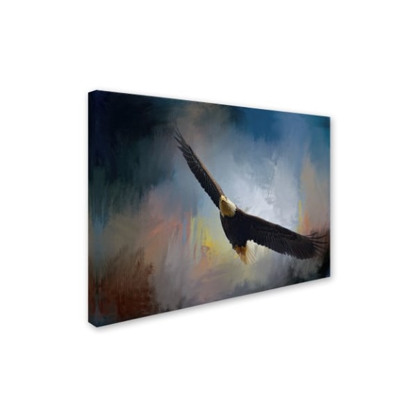 Jai Johnson 'Ascending' Canvas Art,24x32